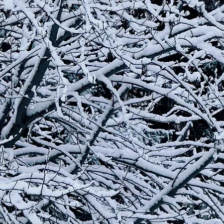 Piz Alpina Grosse, Moderne Mit Bergsicht